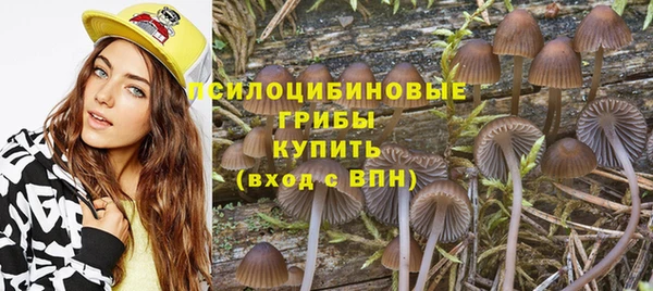 мдпв Ростов