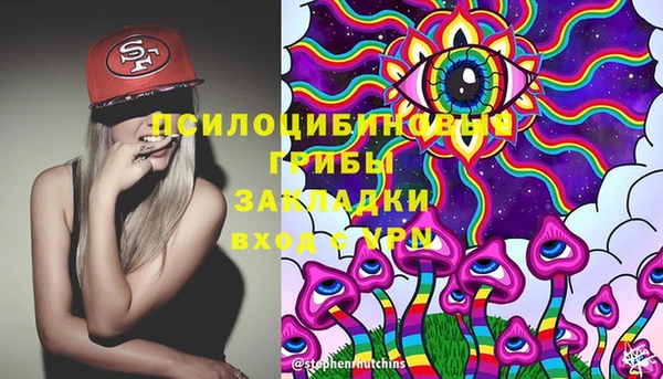 прущий лед Белокуриха
